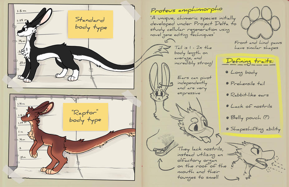 Figure 1: notes on basic physical species traits.