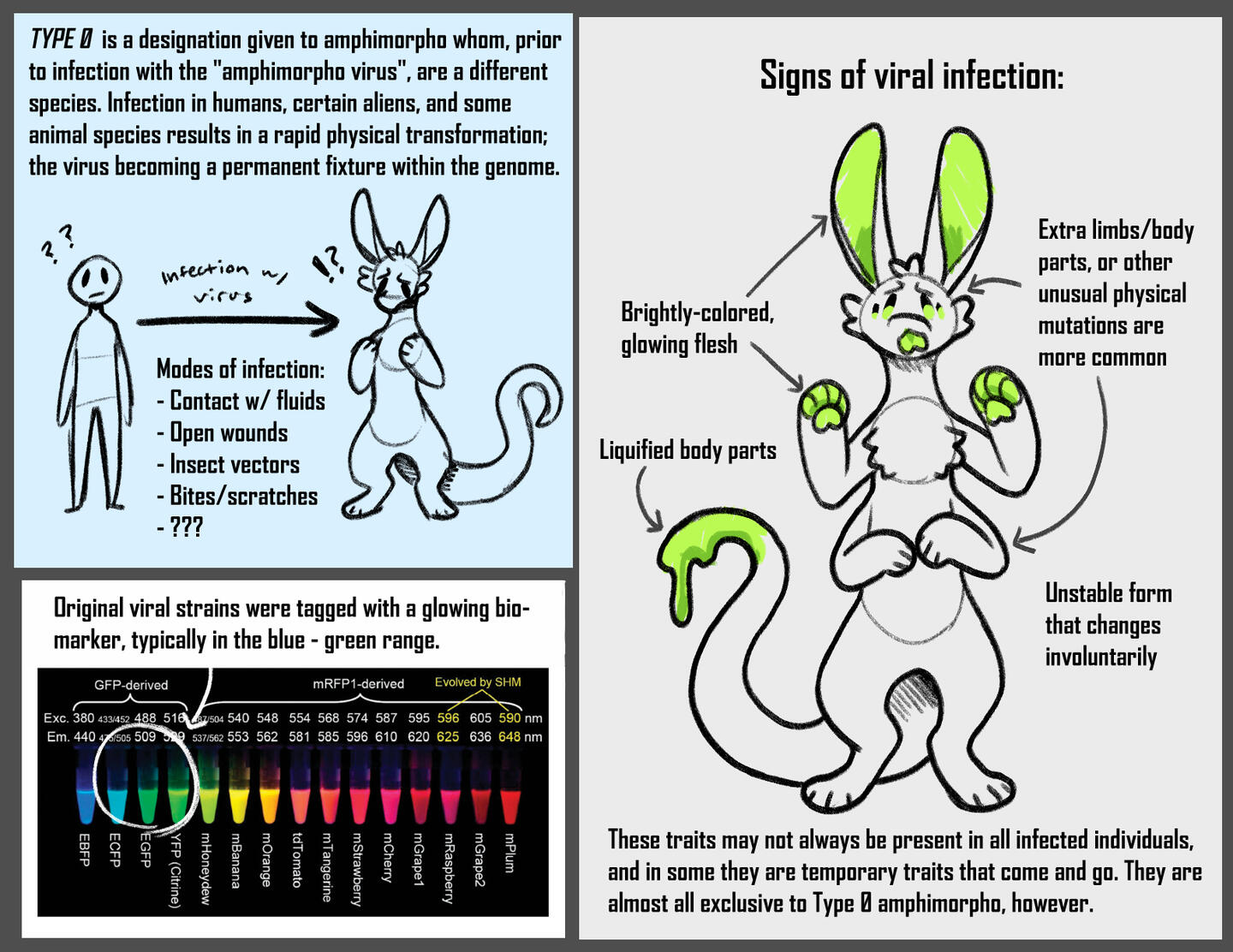 The Amphimorpho Species Guide