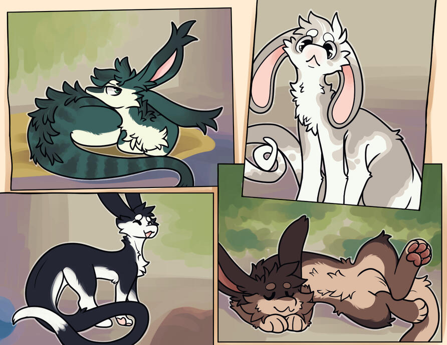 Figure 5: amphimorpho come in a wide range of colors and patterns.